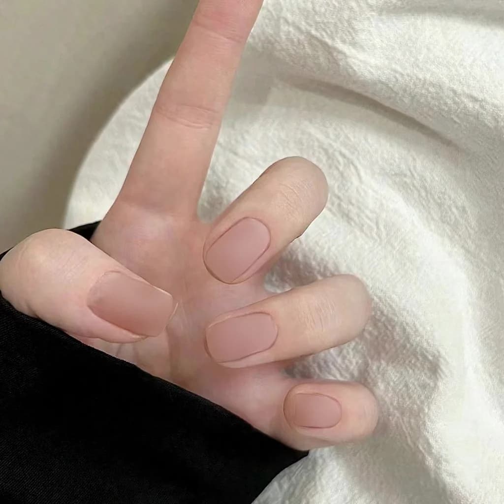 キャットアイ ショートラウンド スターデザイン 付け爪 24枚組 再利用可能